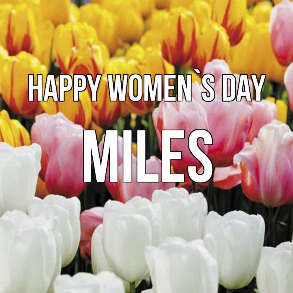 Greetings card с именем, Miles happy women`s day разноцветные цветы Greetings with text for free download 